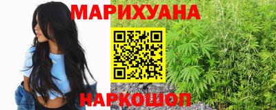 крисы Абакан