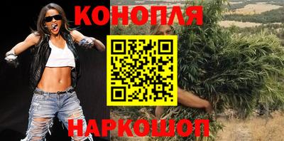 крисы Абакан