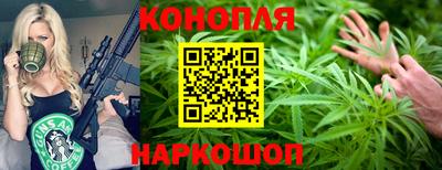 крисы Абакан