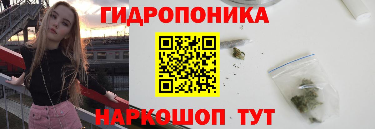 Каннабис планчик Апатиты